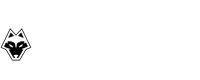 Alpha Car Performance e Mecânica Automotiva - Remap em Londrina